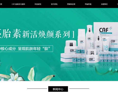 鳳儀堂網(wǎng)站建設